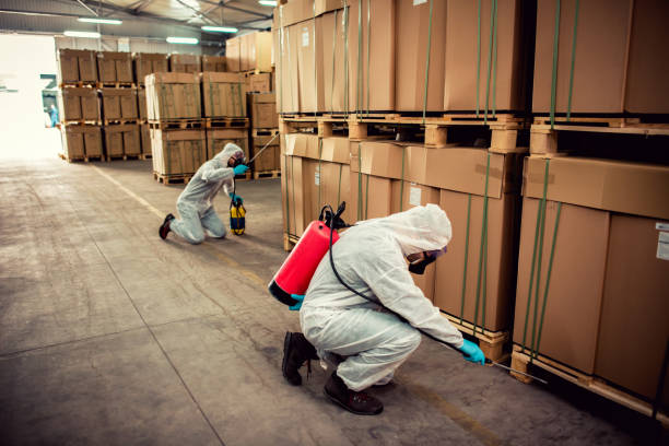 Best Bed Bug Extermination  in Elkins, AR