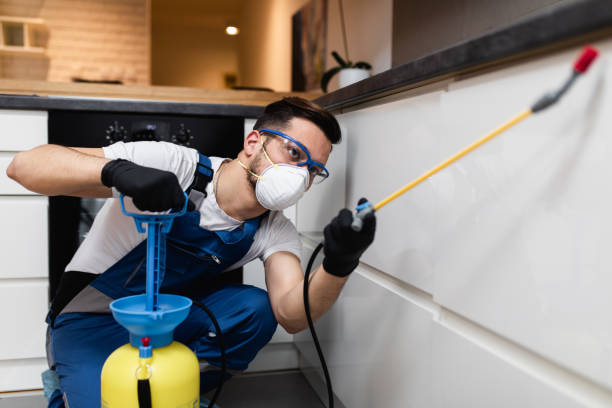 Best Insect Control  in Elkins, AR