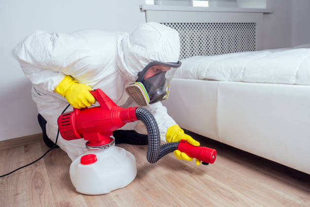Best Pest Prevention Services  in Elkins, AR