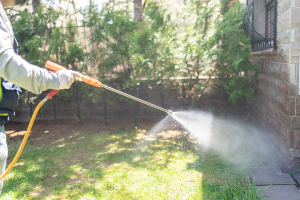 Best Exterminator Services  in Elkins, AR