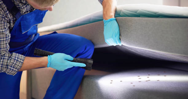 Best Cockroach Control Services  in Elkins, AR