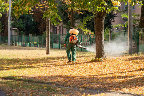 Best Emergency Pest Control  in Elkins, AR